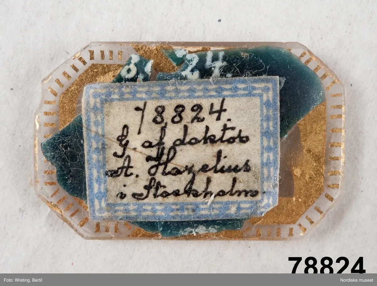 Silhuettporträtt, dubbelporträtt, två bröstbilder inom var sin inramning vända mot varandra.