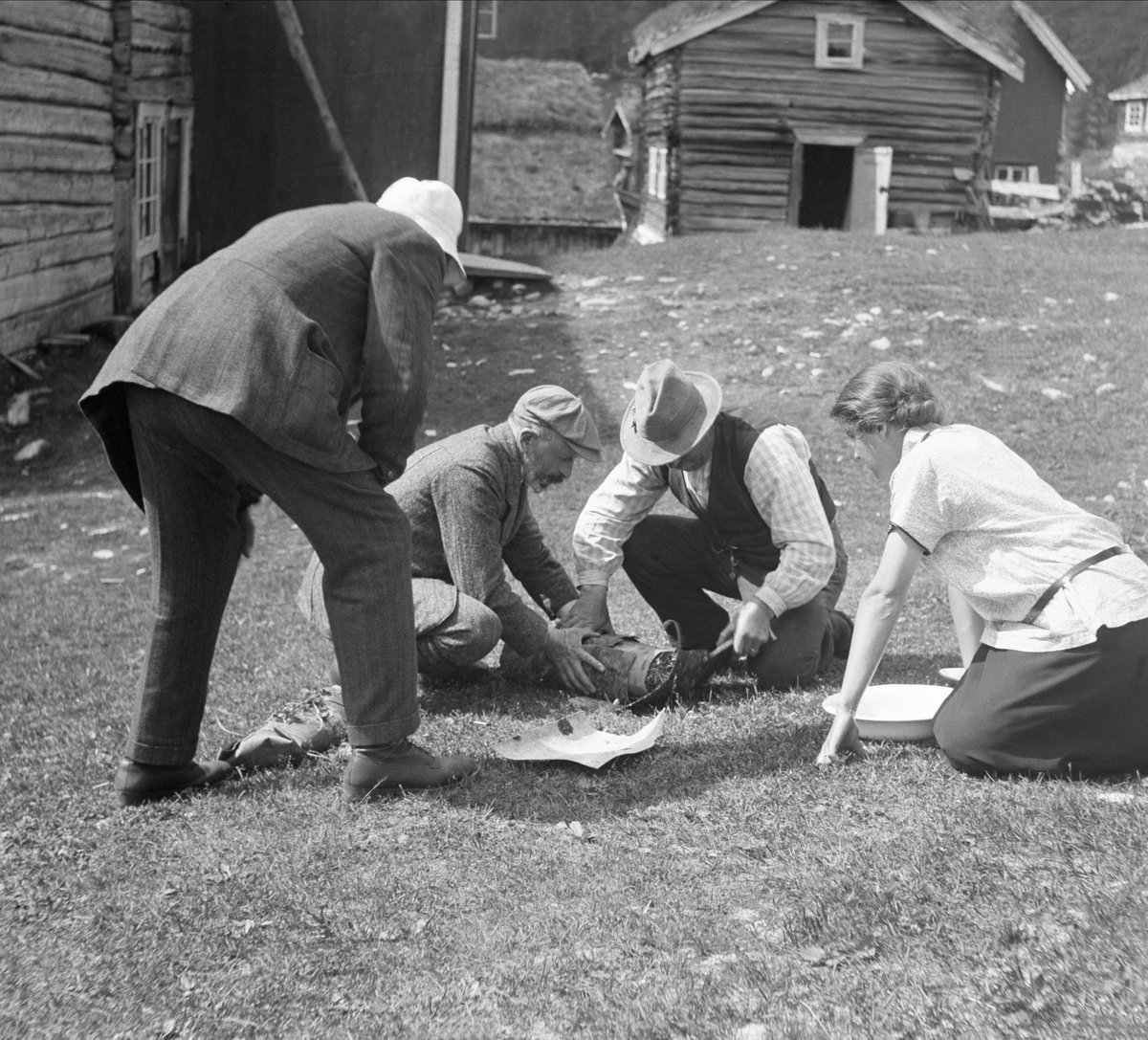 Storlidalen 1925.  Fisken pakkes. Eyvind Arentz nr. 2 fra venstre.