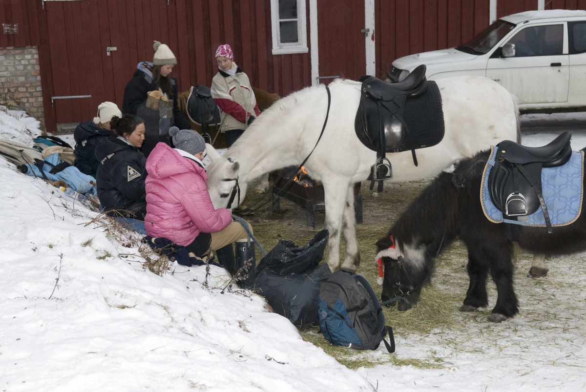 Ponnyridning, julemarked 14.12.2008.