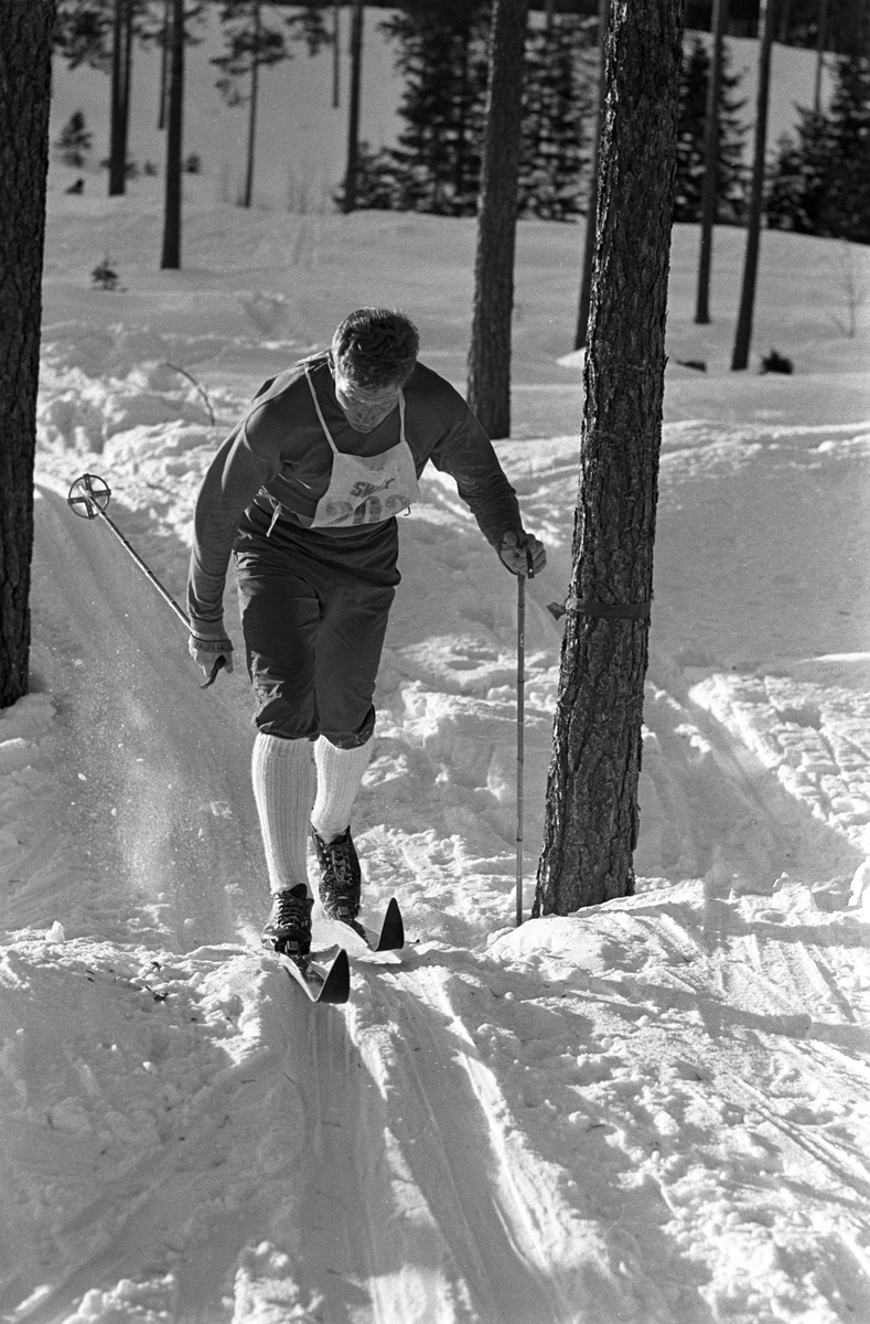 Skiløper i sporet under NM i langrenn for juniorer på Eidsvoll 1963.