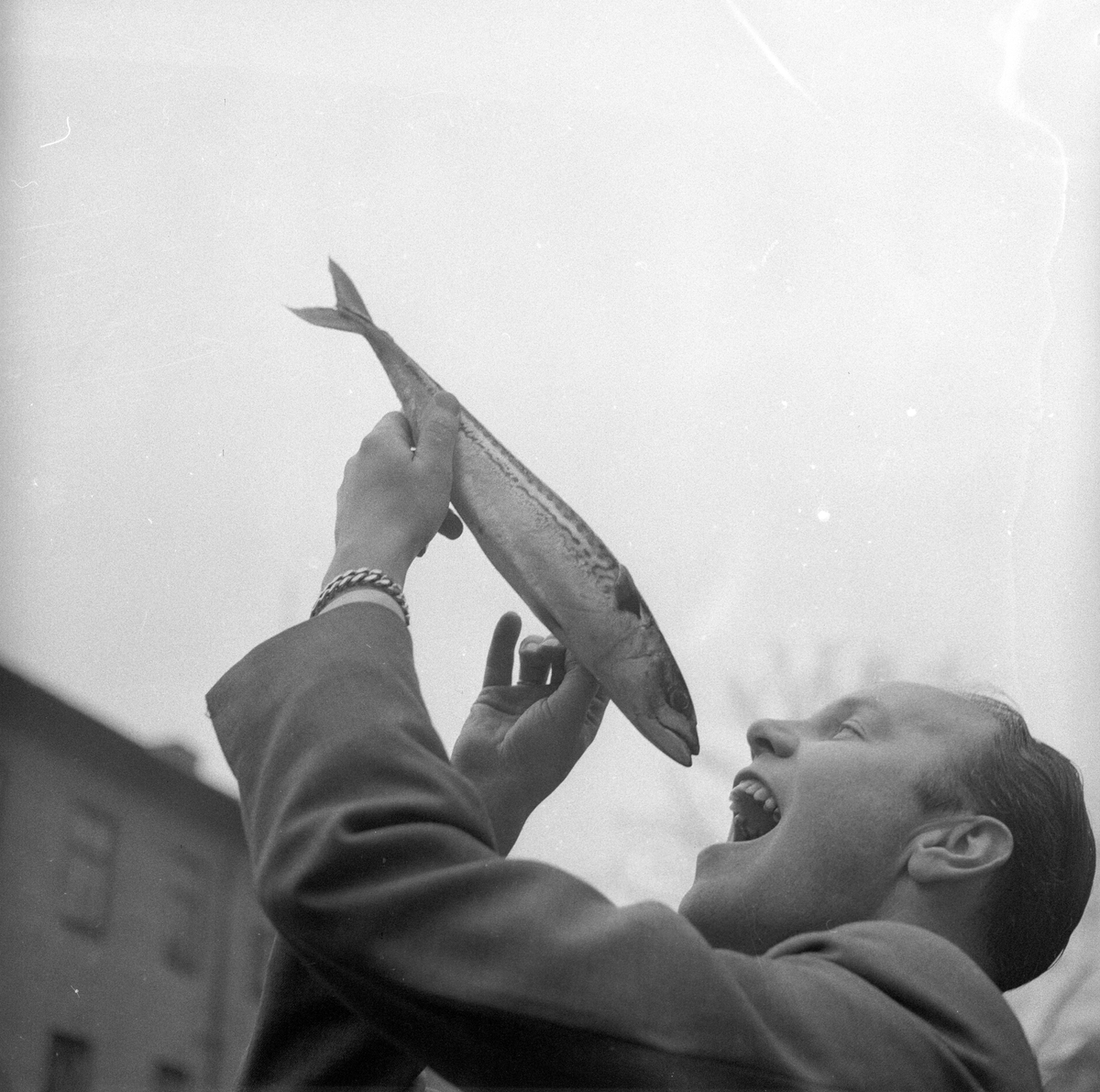 Mann som later som skal spise rå makrell.
Fotografert 1956.