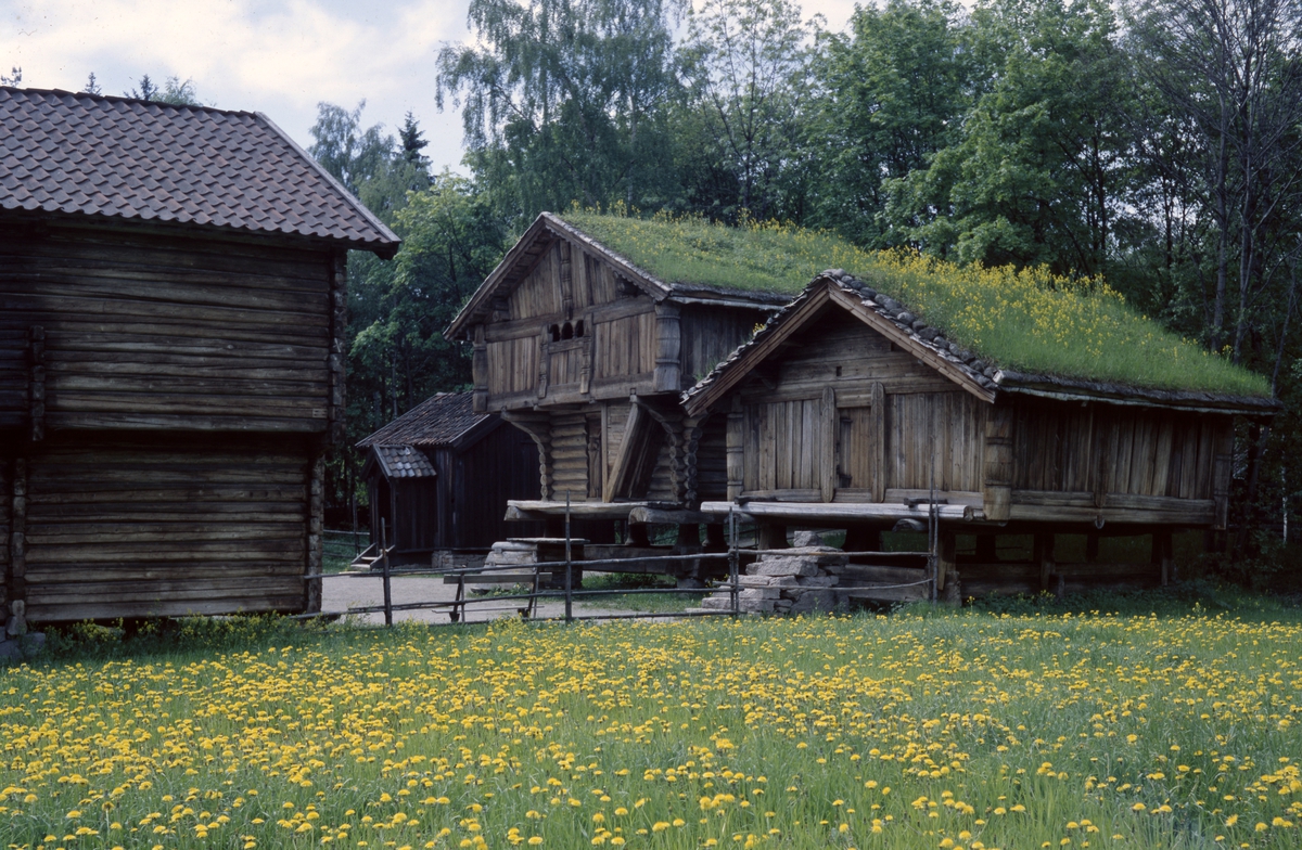 Loft fra Søndre Tveito i Tinn i Telemark og stabbur fra nedre Nisi i friluftsmuseet på Norsk Folkenmuseum.
