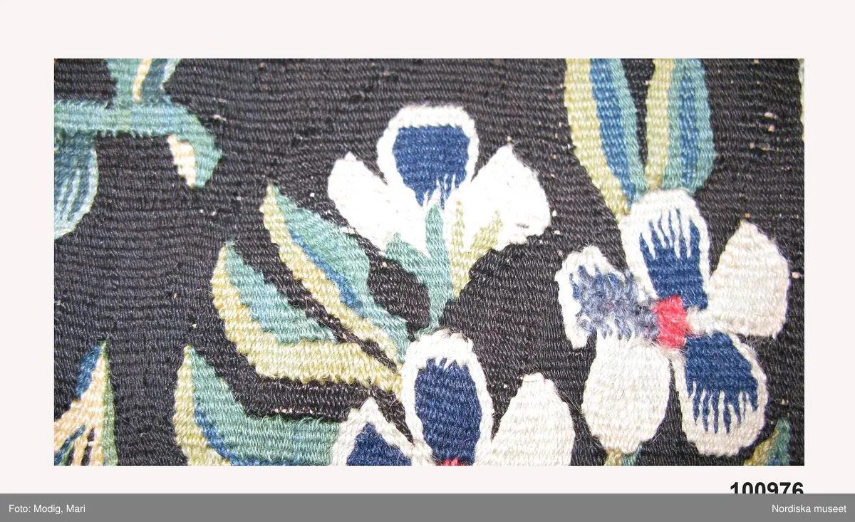 Huvudliggaren:
"Vävd tapet från 1700-talets början. Enligt uppgift från Skåne. Framställer varjehanda blommor strödda mot svart grund."
