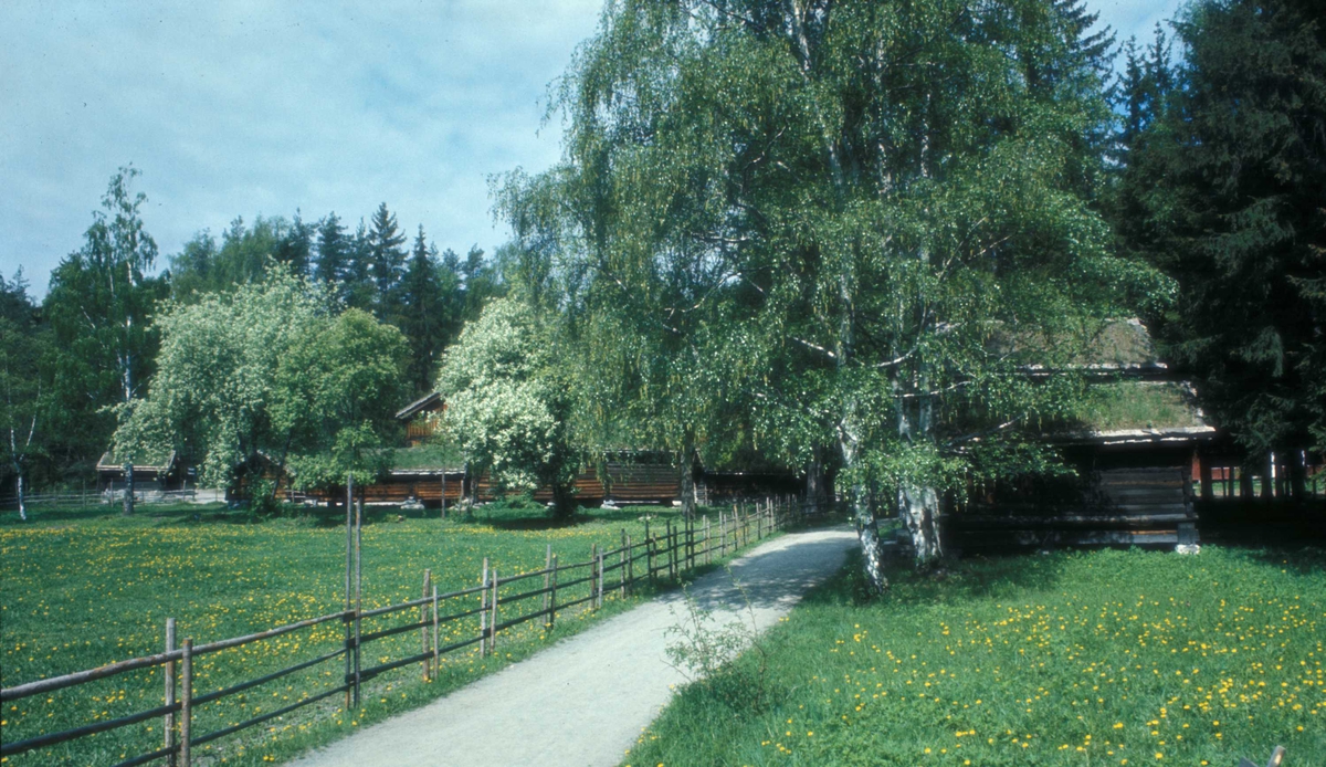 Friluftsmuseet sett mot Setesdalstunet.