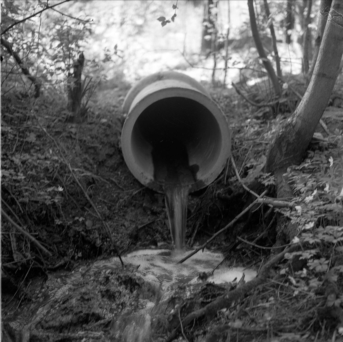 Kloakkrør, Kolbotn, Oppegård, oktober 1956