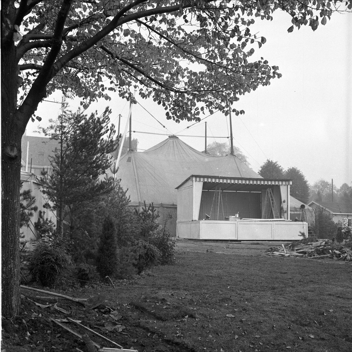 Blomsterutstilling, telt og scene i bakgrunnen, trær i forgrunnen, Fredrikstad,  03.10.1956