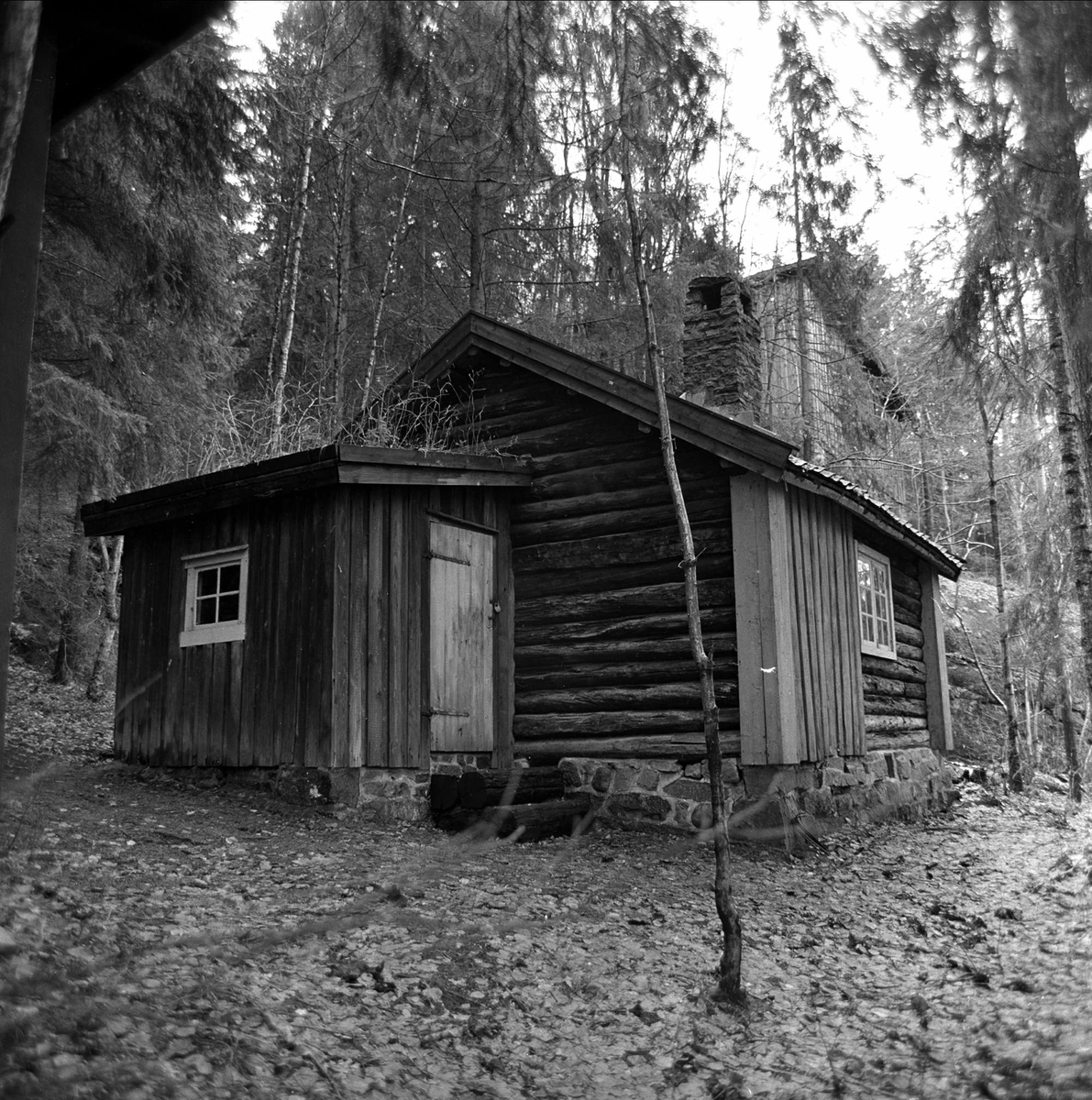 Gammelt hus i skogen. Hurum mars 1963. Henrik Sørensen-museets tomt i Holmsbu. 