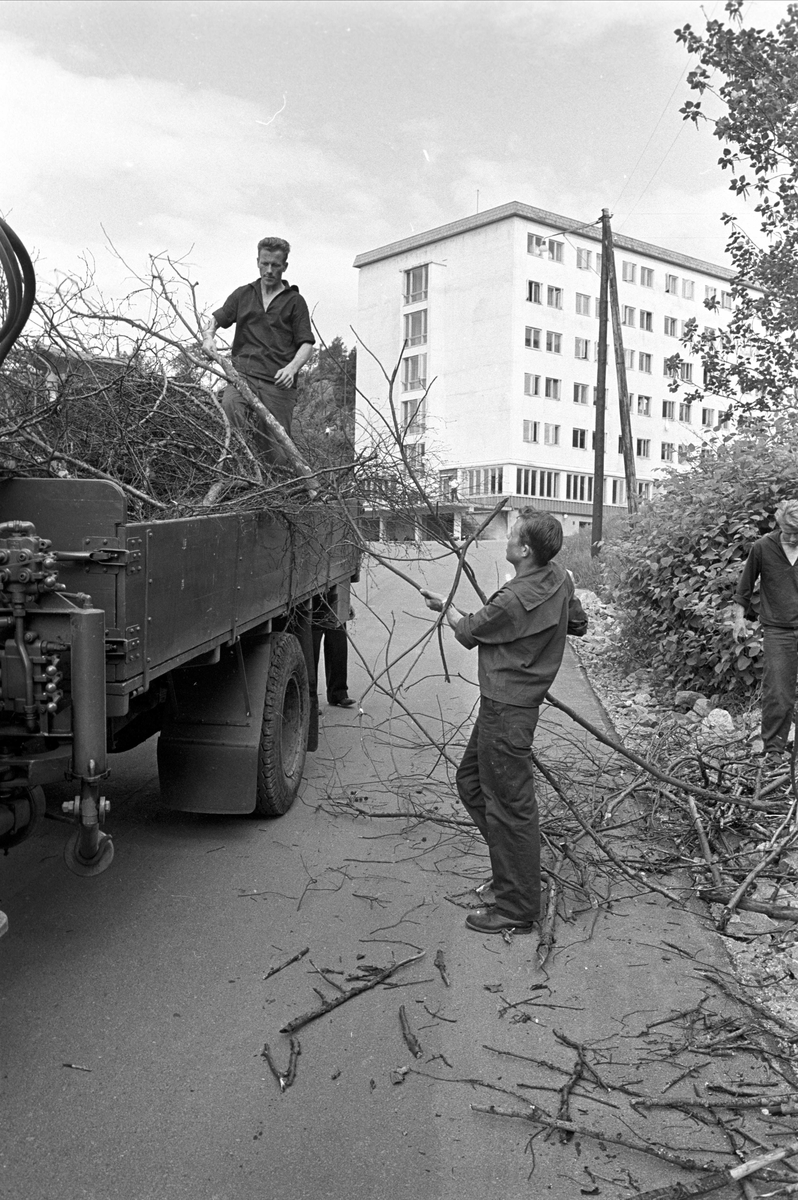 Håkonsvern, Bergen, 05.06.1963. Rydding av kvist.