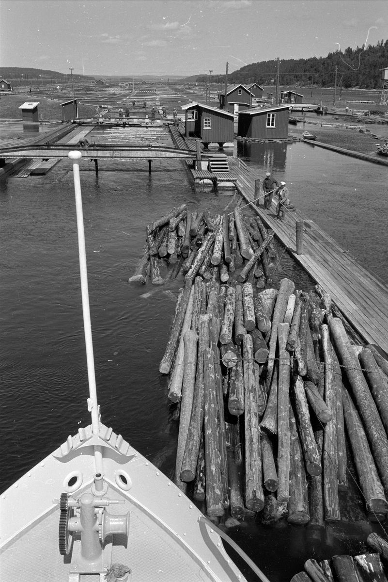 Glomma, juli 1962. Tømmerlense. Glennetangen Lenser i Østfold (Skiptvet).