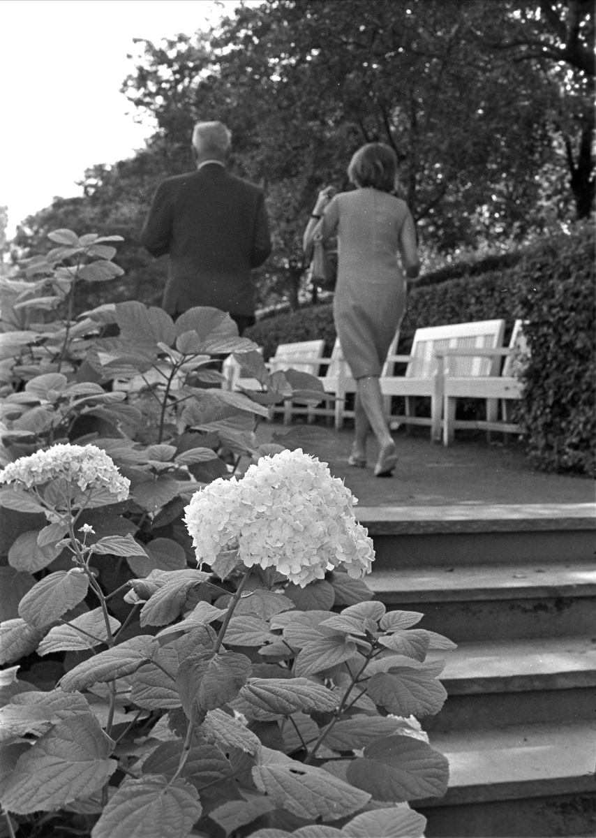 Fra Tøyen, Oslo september 1967. Par som går langs benker i Botanisk hage.