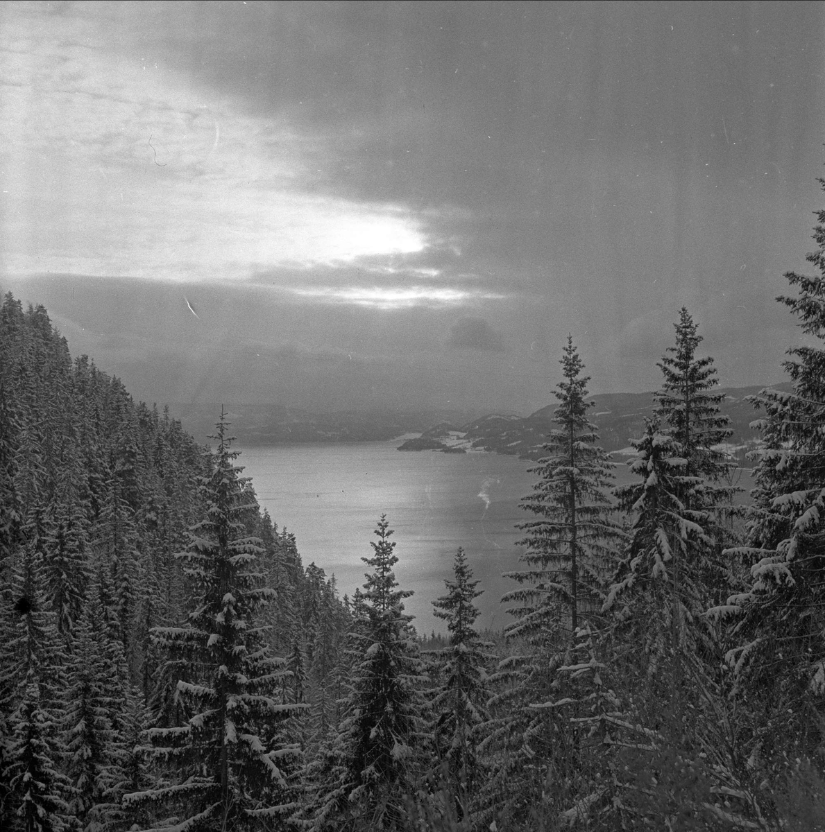 Tyrifjorden friluftsområde, Buskerud, juli 1954. Landskap.