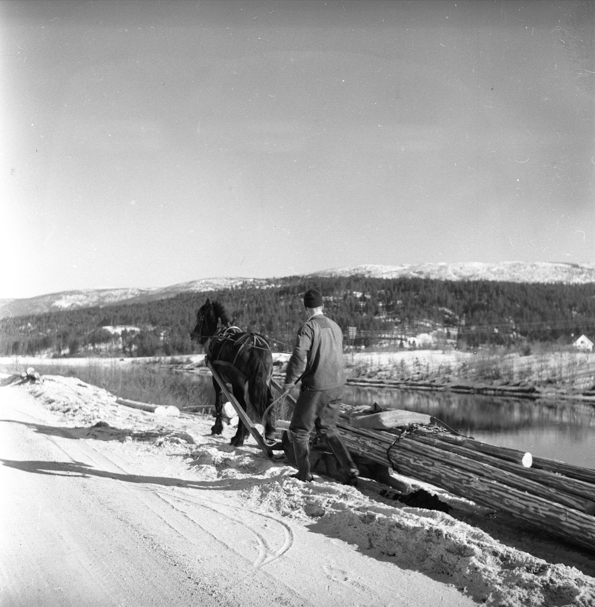 Østerdalen, mars 1959. Stemninger. Tømmertransport med hest.