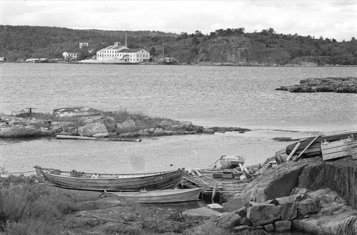 Lyngør, september 1962, bebyggelse i bakgrunnen, båter langs stranda.