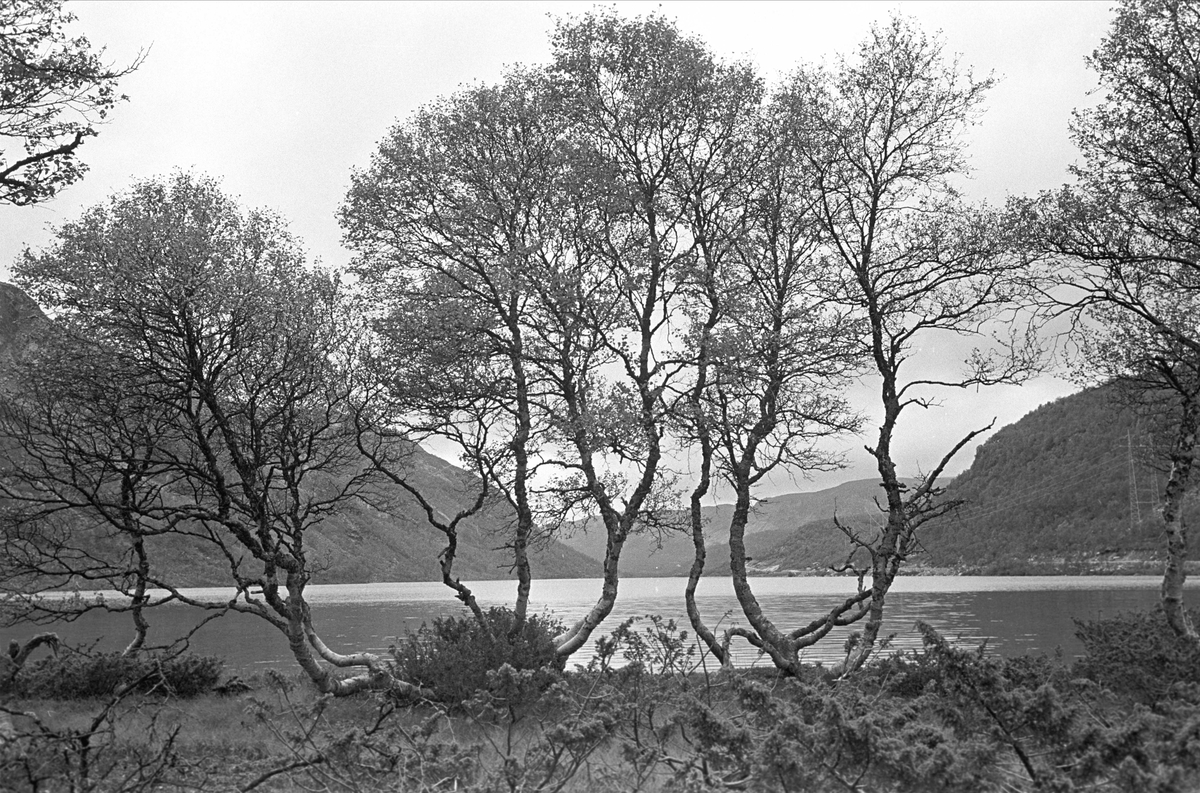 Setesdal, september 1964, fra Dalen til Valle, naturopplevelser.