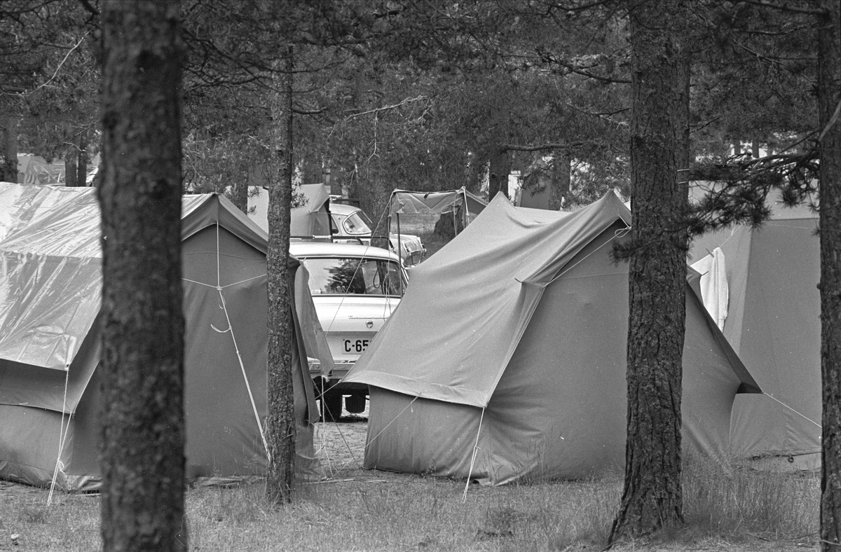 Fra Sjøsanden. Teltleir i skogen.