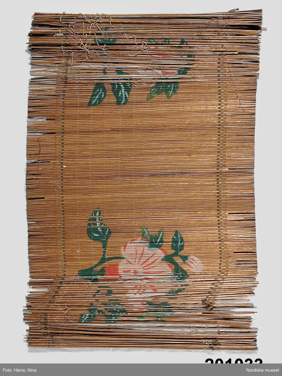 Växt, blomma, blad, kvist.