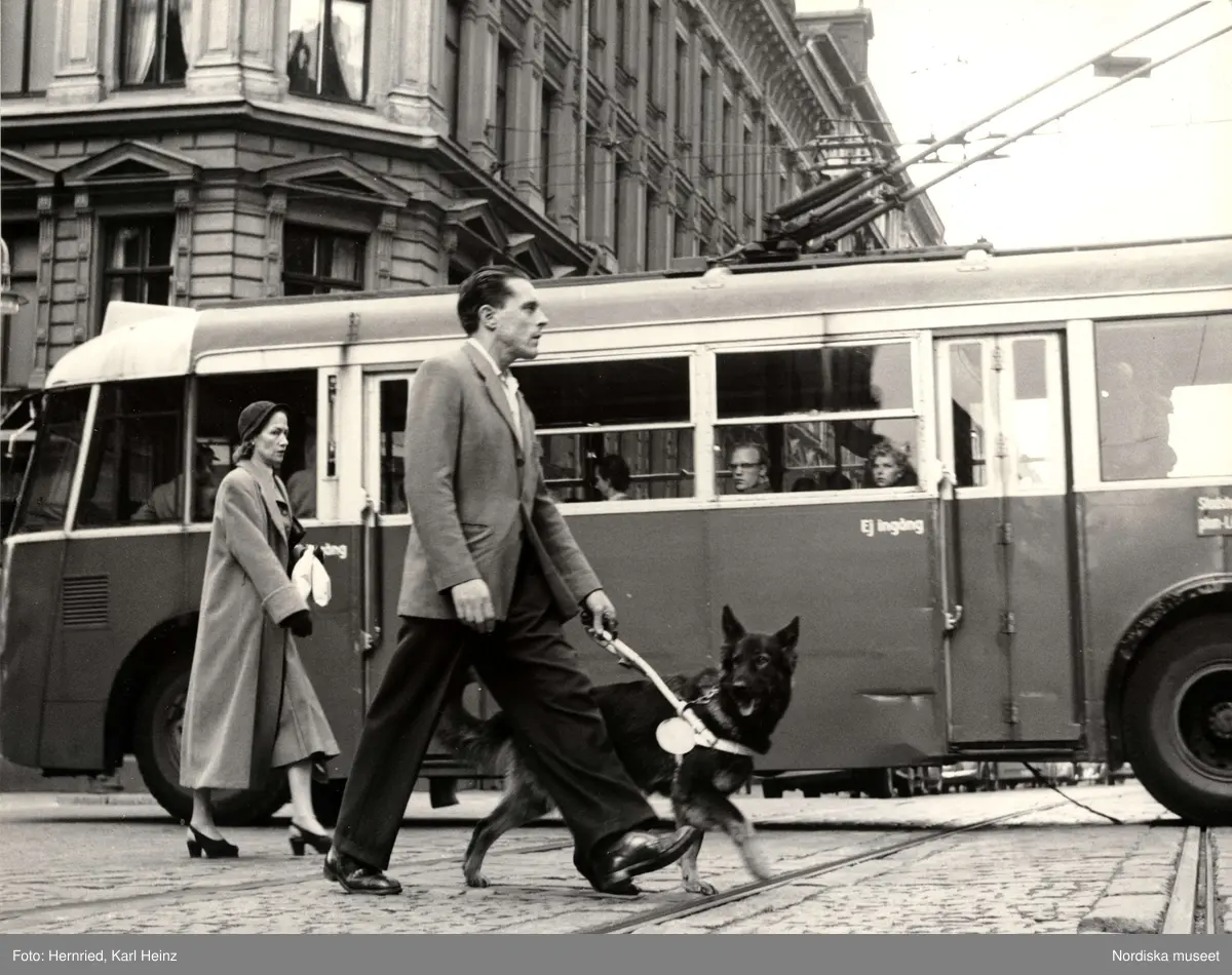Synskadad man med ledarhund passerar över trafikerad gata.