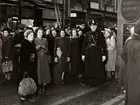 Folksamling utanför entrén till NK (Nordiska Kompaniet) i Stockholm inför realisationen, februari 1950.