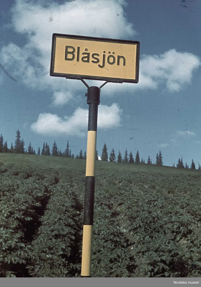 Gul och svart vägskylt med texten "Blåsjön"