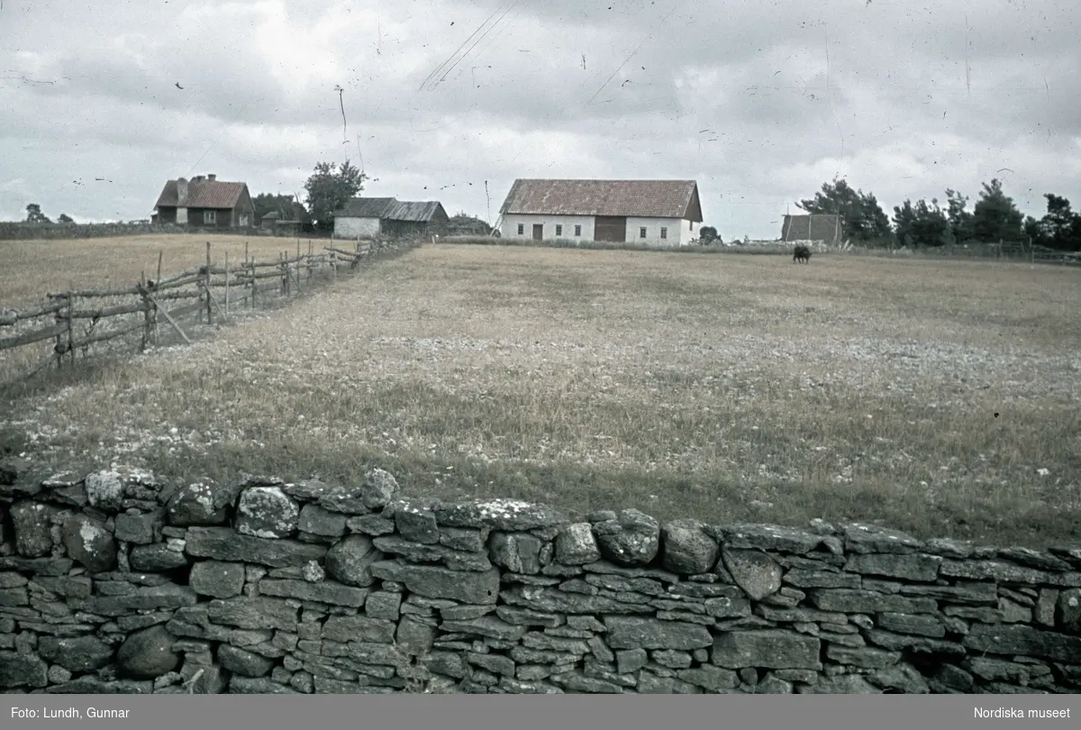 Stenmur. Gård.