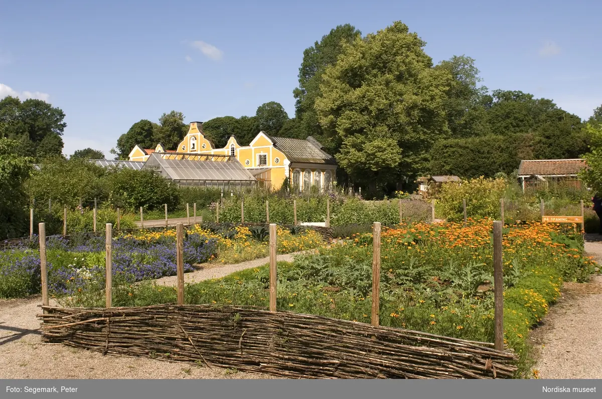 Örtagården och köksträdgården med  köksväxter och örter: Stockrosor, Ringblomma,  kål, röd- och gulbetor mm, Julita gård, sommarsäsongen 2009. 