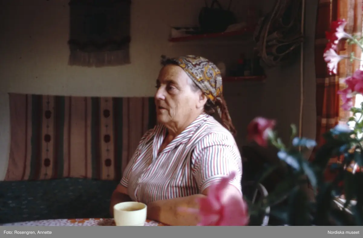 Bruksvallarna, fäbod, 1974. Byggnader, djur, människor och natur.