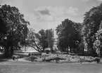 Rundeln framför Julita gård i Södermanland, före 1930. Utsikt över sjön Öljaren. Plantering med sommarblommor och agave.