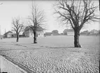 Vaksala torg i Uppsala 1901 - 1902. I fonden bebyggelse längs Väderkvarnsgatan.