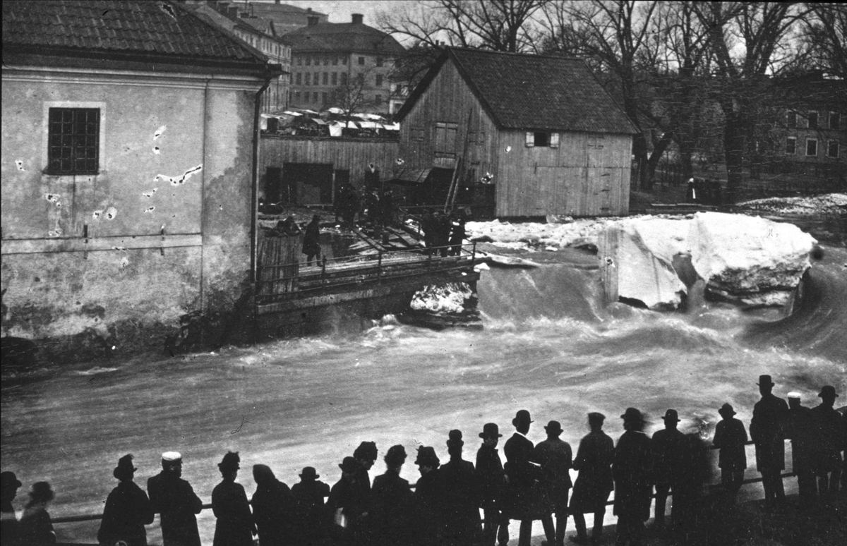 Reprofotografi - "Svartbäcksgubbar" i Kvarnfallet vid Akademikvarnen, kvarteret Holmen, Uppsala 1880 - 1890-tal