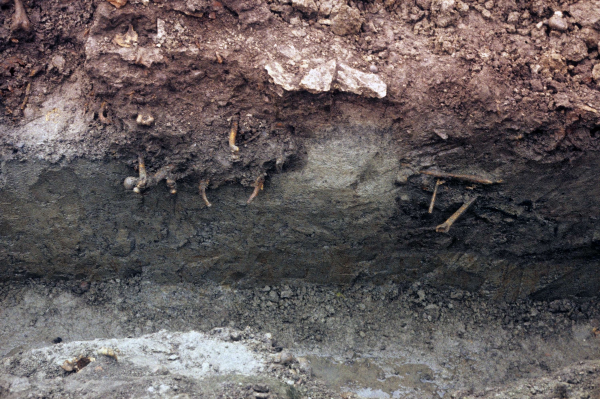 Arkeologisk undersökning av Franciskanklostret, kvarteret Torget, Uppsala 1971 - 1972. Mittskeppet. Schakt A. Från öster