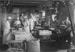 Interiör från AB Chokladfabriken Fyris, Suttungs gränd, Upps