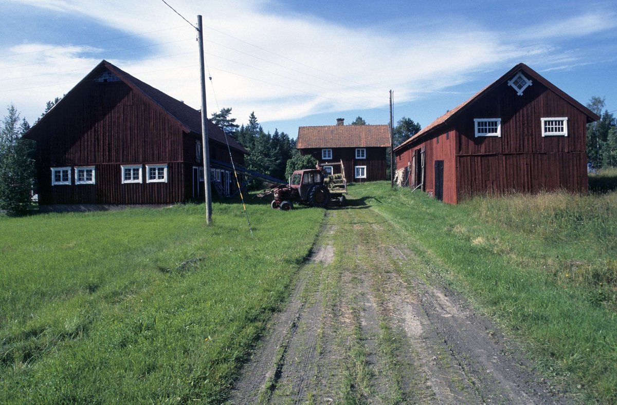 Gårdsmiljö, Göksnåre, Hållnäs socken, Uppland 2000