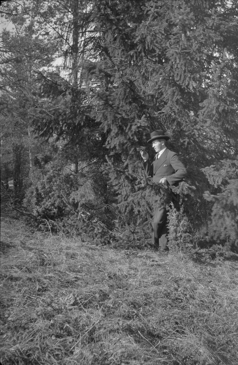 Man i skogsdunge, 1940 - 50-tal