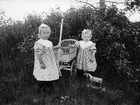 Anna och Karin Hållinder, sannolikt Hållen, Hållnäs socken, Uppland 1910