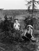 Två kvinnor och en hund i skogen, sannolikt Berge, Medelpad 1909 - 1911