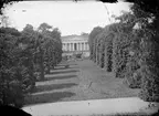 Botaniska trädgården och Linneanum, Uppsala 1860-tal