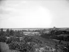 Vy över Gamla Uppsala från Tunåsen