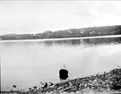 Strand vid Munkholmen nära Sigtuna, Uppland i augusti 1930