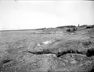 Havskust i Öregrund, Uppland i juli 1923