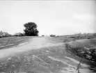 Berghäll i Öregrund, Uppland i juli 1923