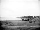 Hästar vid vedstapel, Grisslehamn, Väddö socken, Uppland 1915