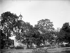 Bälinge kyrka, Uppland 1919