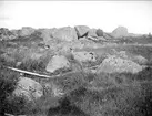 Flyttblock vid Tingstukällan, Nyvlabäcken, Nyvla, Bälinge socken, Uppland september 1919