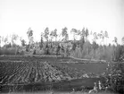 Rullstensås och åkermark vid Morgongåva, Vittinge socken, Uppland i oktober 1920