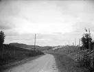 Väg nära Vånsjöbro, Härnevi socken, Uppland september 1917