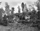 Fornborg på Arnö, Kungs-Husby socken, Uppland 1931