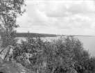 Mälaren från fornborg på Arnö, Kungs-Husby socken, Uppland 1931