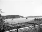 Sjön Trehörningen, Funbo socken, Uppland juni 1934