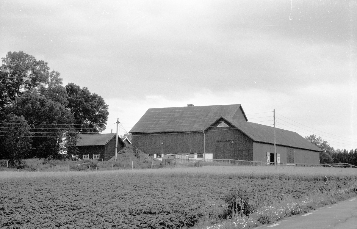 Mangårdsbyggnad