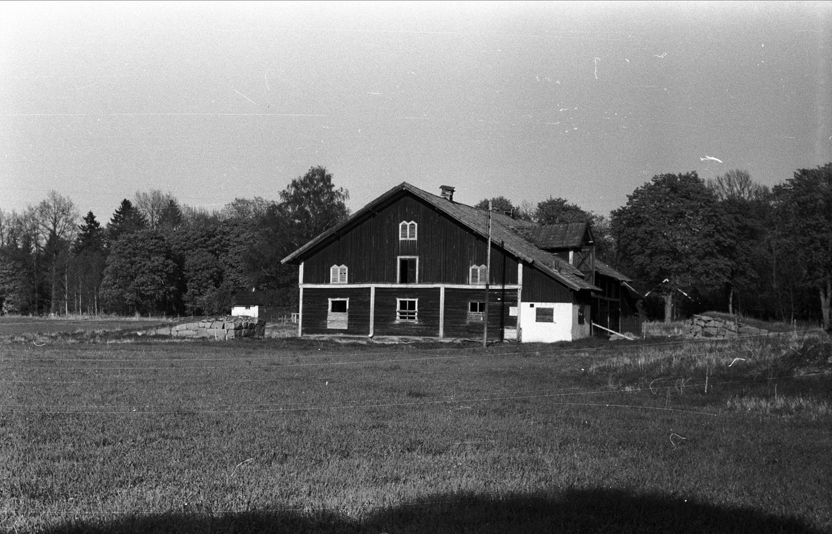 Oxhus